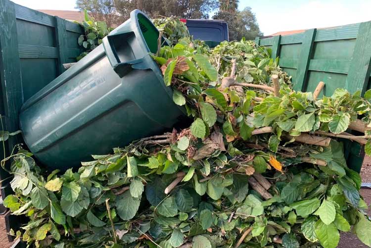 Clearing your green waste and removing the bin. gardenandtrees.co.nz/property-tidy-up/