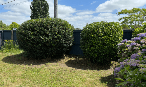 After presale makeover