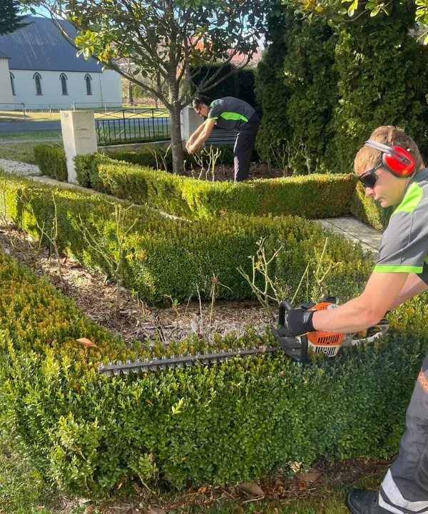 property tidy up using hedge trimmer