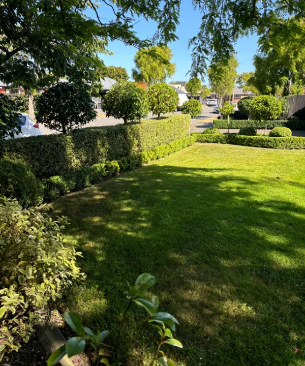 shaped trees in garden